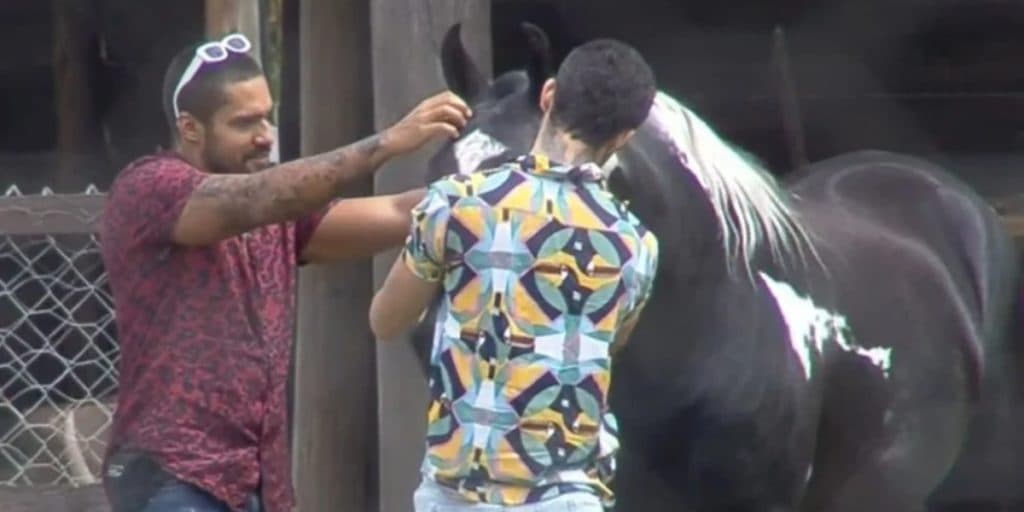 A Fazenda 13: Peões caem no choro ao se despedirem de animais: "Obrigado por tudo"