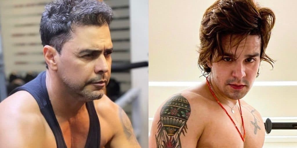 “Especial”, Zezé se declara abertamente para Luan Santana e entrega passado deles, após cantor expor sobre ser gay