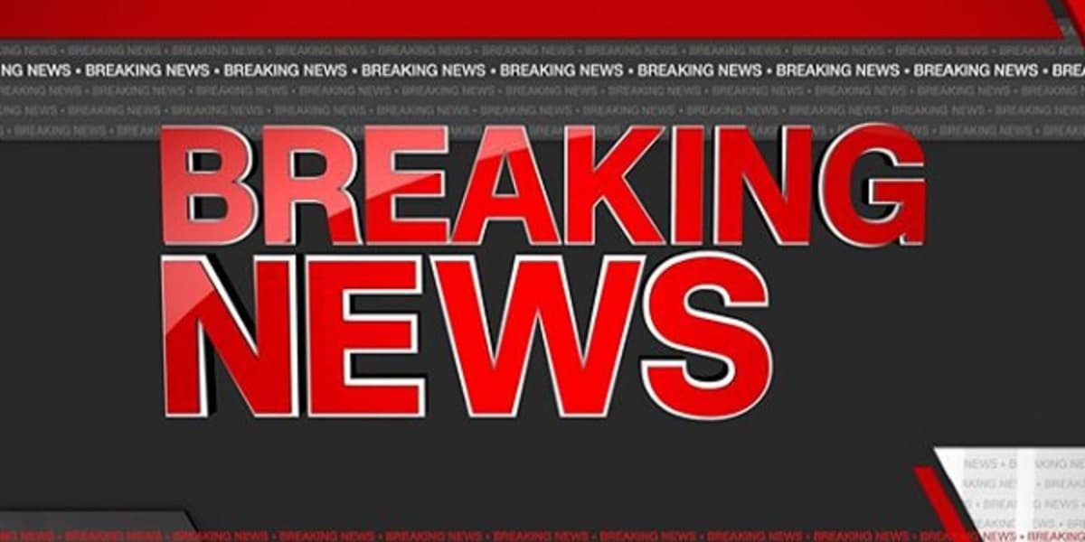 Logo do 'Braking News', plantão da CNN Brasil (Foto: reprodução)