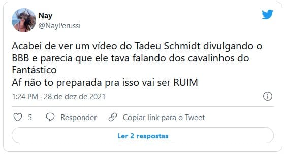 Chovem as críticas em Tadeu e Rafa para o BBB22 (Foto: Reprodução / Internet)