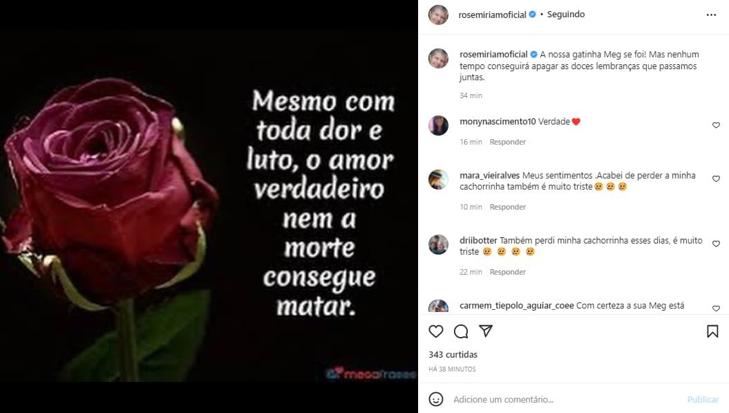 Companheira de Gugu falou da morte de sua gatinha 
