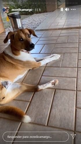 Imagem do post Imagem do post
