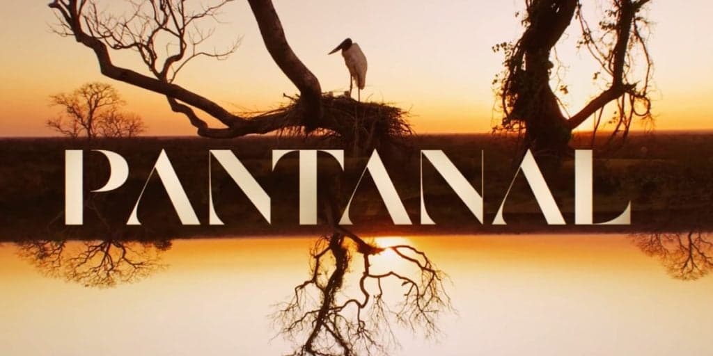 Atores protagonistas de Pantanal não se falam nos bastidores da novela e rixa é exposta: "Praias diferentes"