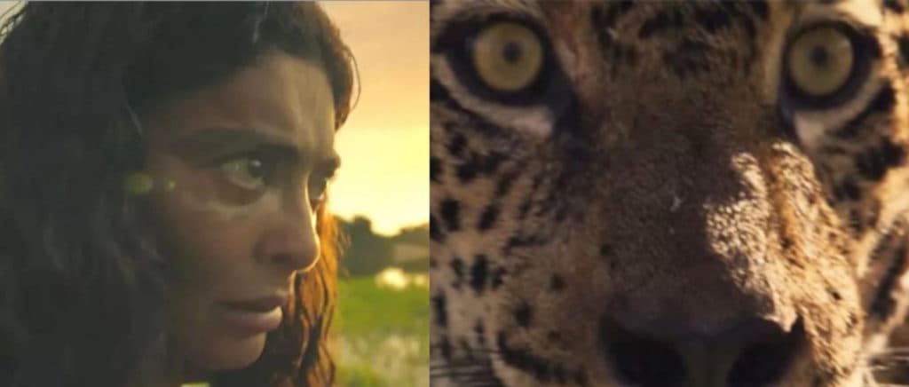 Pantanal: Descubra como Juliana Paes vira onça e luta com cobra na novela