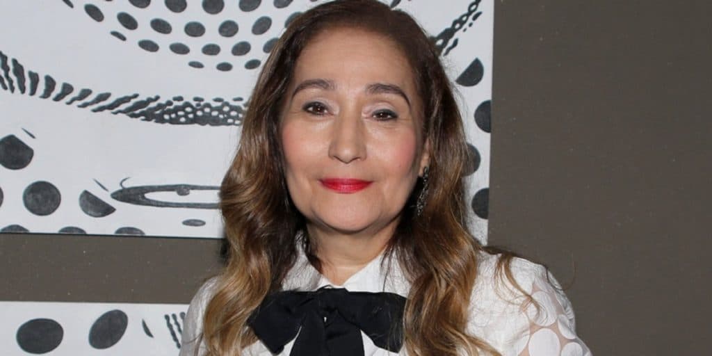 Sonia Abrão confirma internação às pressas em hospital, mostra foto em maca e comunicado é feito: "Sofrida''