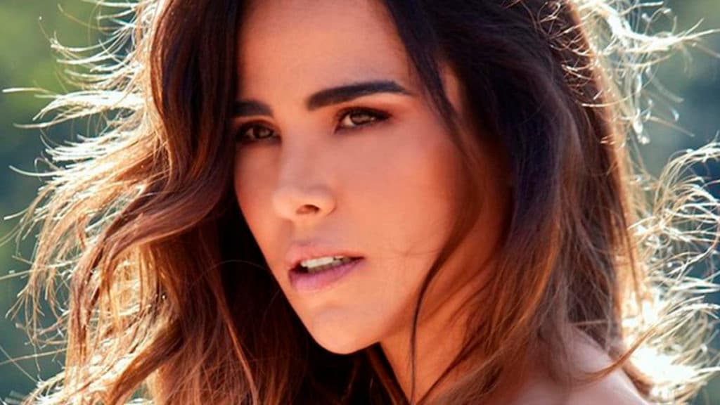 Após grave acidente no palco, Wanessa Camargo perde parte do corpo e confirma maior sofrimento