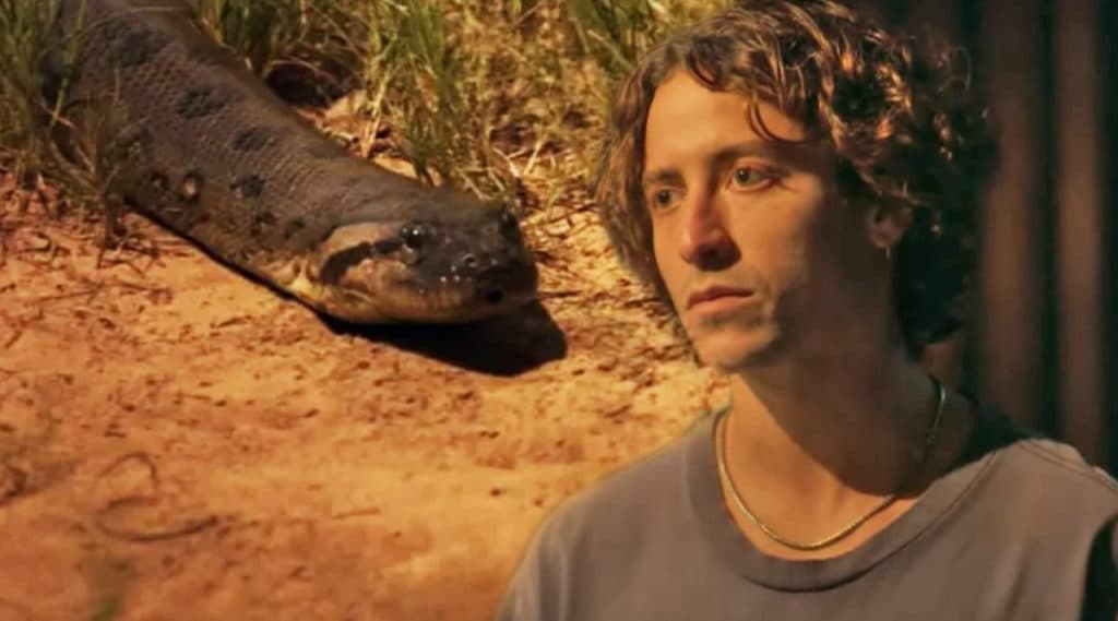 Pantanal: Jove fica entre a vida e a morte após ser picado por cobra e depende de milagre