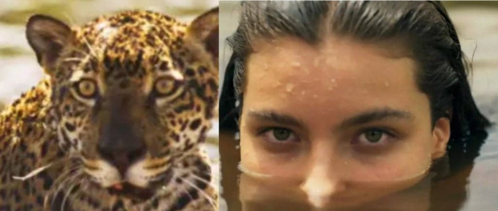 Pantanal - Juma vira onça novamente e faz mais uma vítima em ataque fatal: "Vou matar ocê"