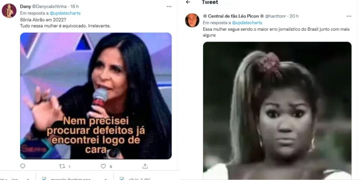Internautas se revoltaram com ataques de Sonia Abrão (Foto: Reprodução/Twitter)