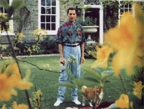 Freddie Mercury (Foto: Reprodução)