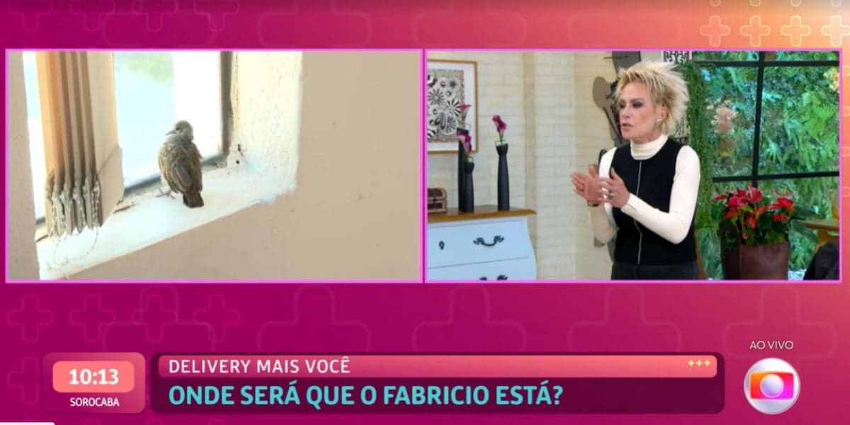Ana Maria Braga ajudou passarinho ao vivo no "Mais Você" (Foto: Reprodução/TV Globo)