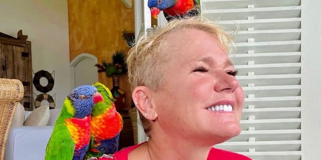 Xuxa revela 2ª filha, anuncia que vai deixar o Brasil e confirma em textão: “Amar de verdade”