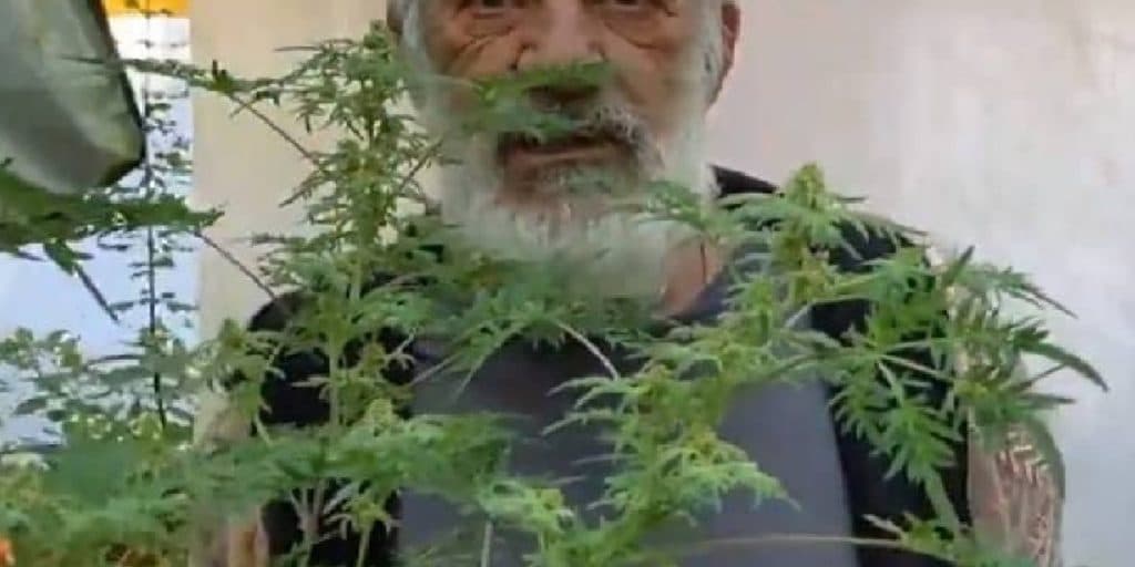 Famoso ator da Record, de novela bíblica, é pego com plantação de maconha dentro de casa: "Drogas pesadas"