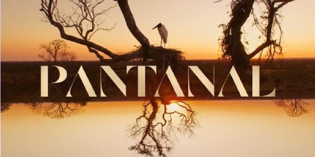 Galã de Pantanal morre em trágico acidente de carro e produção faz homenagem póstuma na novela: "32 anos"