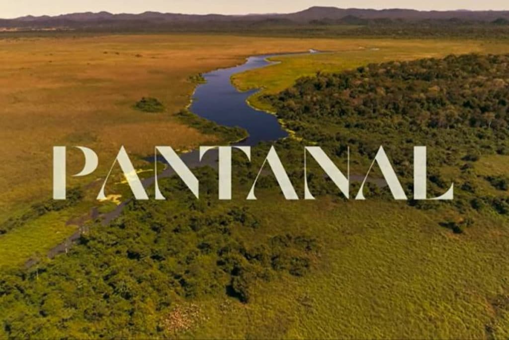 Ator famoso da versão anterior de "Pantanal" viveu batalha secreta