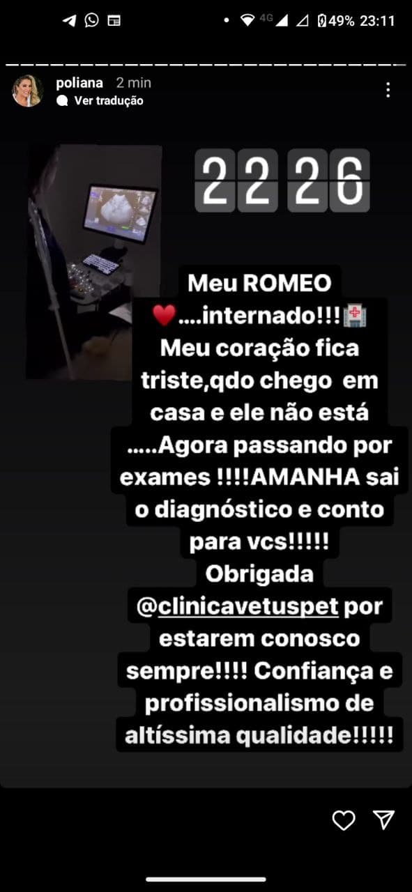 Poliana Rocha expõe internação de Romeo, cachorro de estimação - Foto: Reprodução