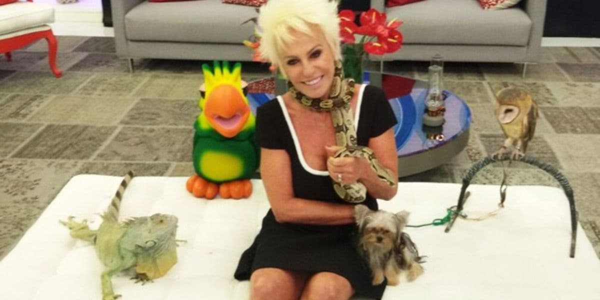 http://tvfoco.uai.com.br/wp-content/uploads/2015/05/Daniela-Mercury.jpg http://tvfoco.uai.com.br/wp-content/uploads/2015/05/Daniela-Mercury.jpg