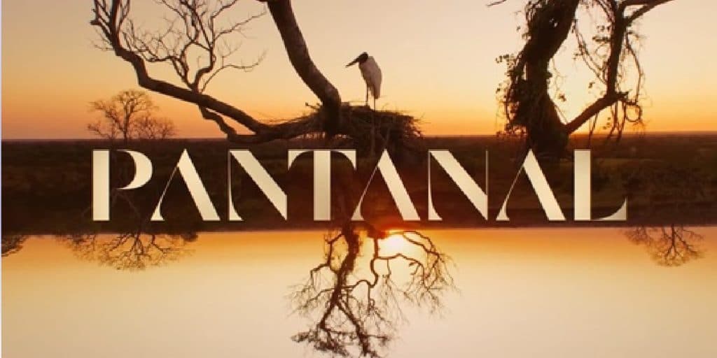 Estrela de Pantanal protagonizou luta contra AIDS em novela