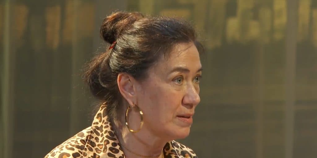 Jornal da Globo dá notícia sobre Lilia Cabral
