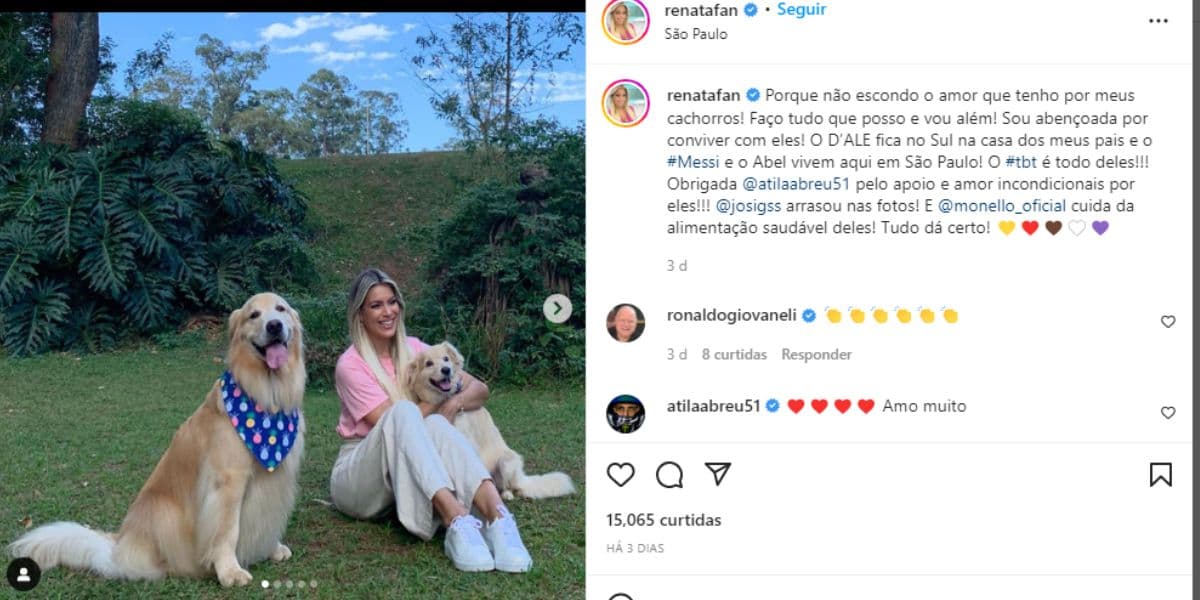 Imagem do post Imagem do post