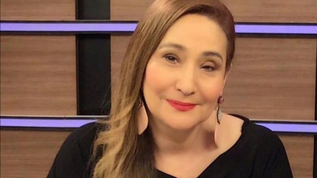 Com vida pessoal discreta e após falar de relação com ex-marido, Sonia Abrão divulga fotos de noiva em casamento