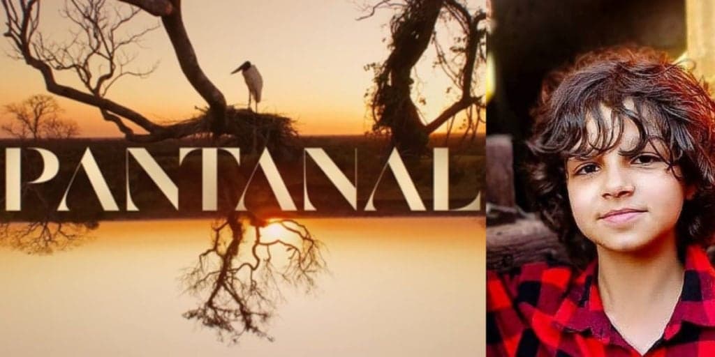 Ator mirim de Pantanal, que foi atropelado, não está conseguindo se alimentar e hospital cancela alta