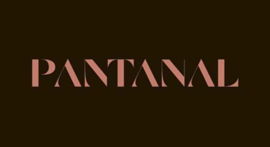 Ator da atual versão de Pantanal é atropelado, internado em hospital e morte de amigo é confirmada
