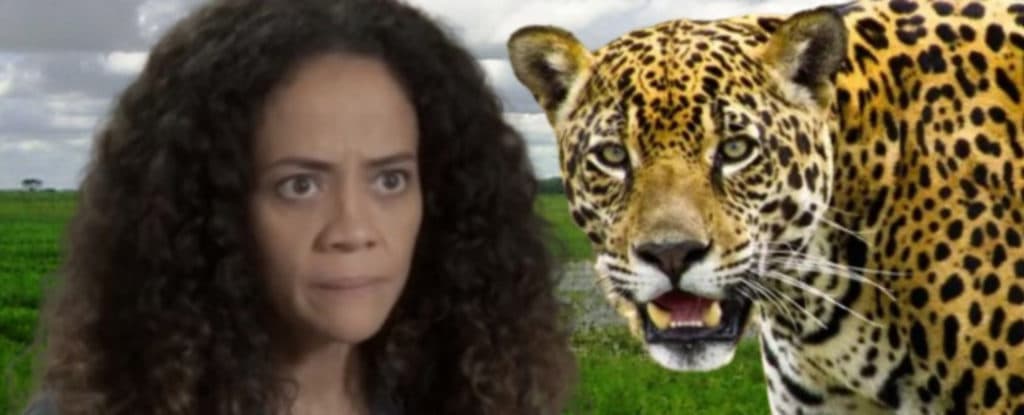 Pantanal - Zuleica vira onça ao saber que sucuri engoliu seu filho: "Pelo amor de Deus"