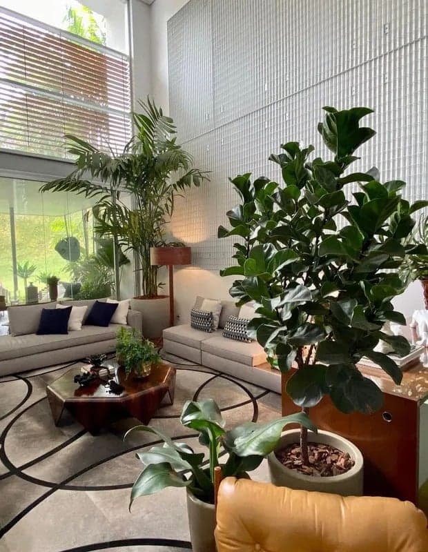 Sala divulgada pela mãe da cantora (Foto: Divulgação)