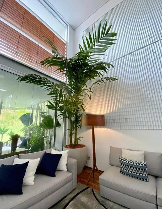 Árvore na sala de Luísa Sonza (Foto: Divulgação)