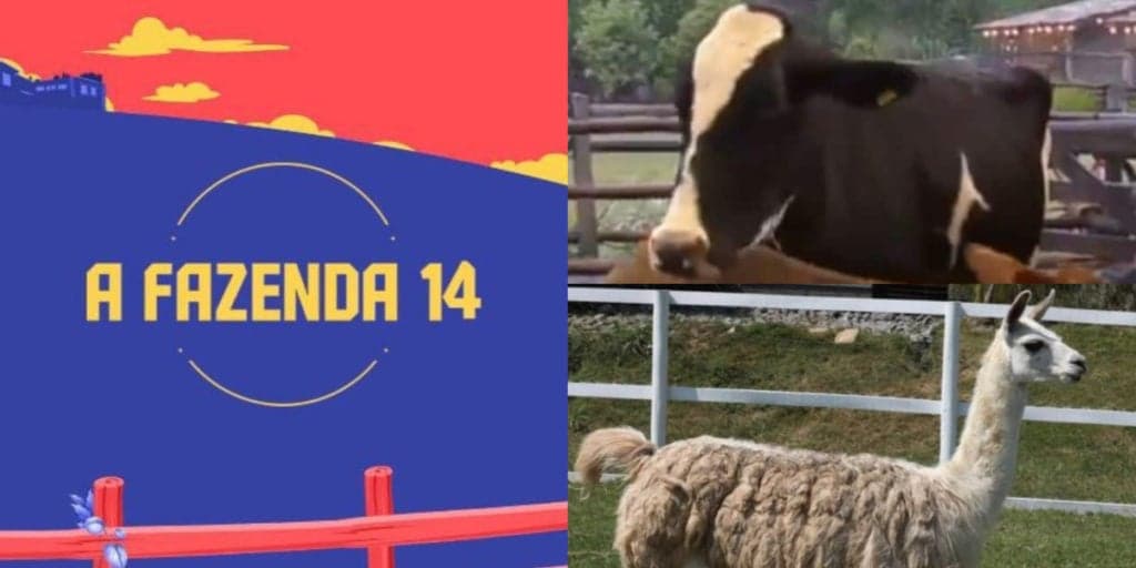 A Fazenda 14: Participante é acusado de maltratar animais e leva bronca da produção