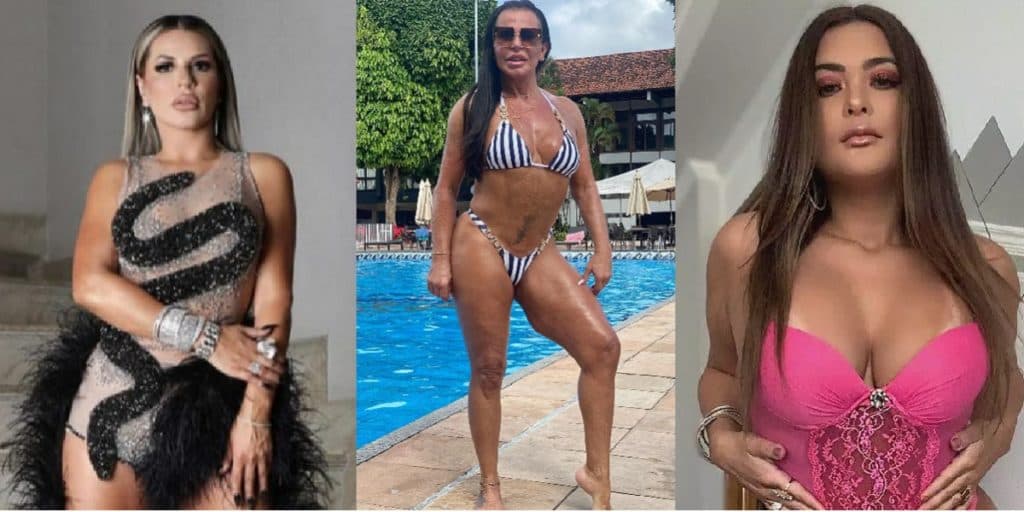 Deolane, Gretchen e Geisy Arruda: Veja quanto custou a cirurgia íntima de cada uma das famosas