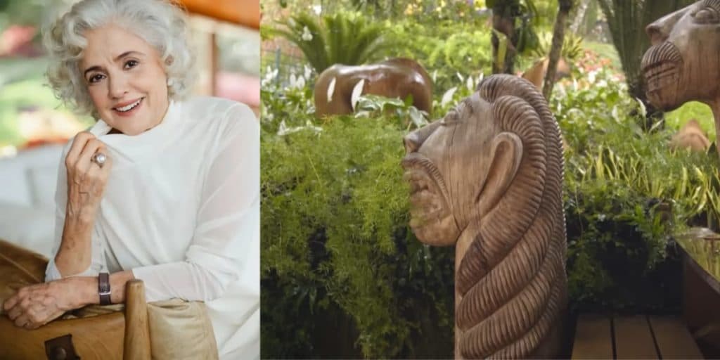 Carrancas, decoração retrô e rodeada por verde: assim é como Marieta Severo vive hoje, aos 75 anos