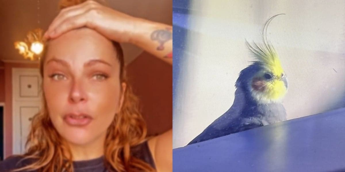 Ex-A Fazenda, Bruna Tang, se desesperou ao ver calopsita na TV - Reprodução/Twitter e TV Globo Ex-A Fazenda, Bruna Tang, se desesperou ao ver calopsita na TV - Reprodução/Twitter e TV Globo
