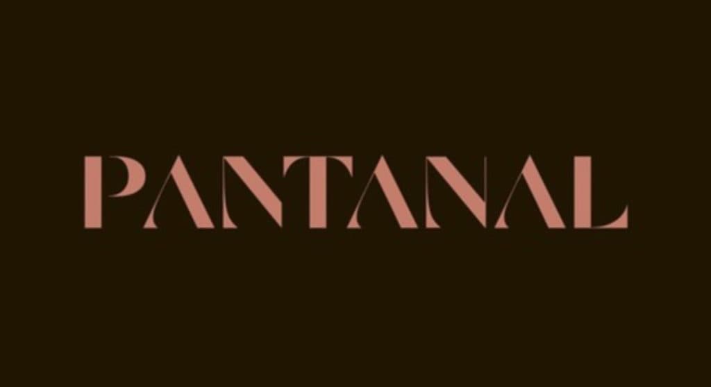 Ator que fez 1º Pantanal morreu em decorrência da AIDS