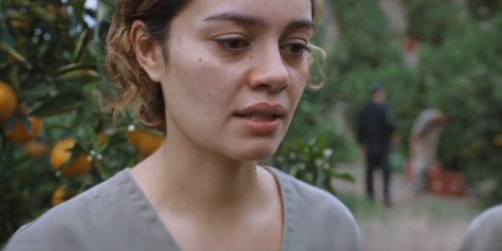 Todas as Flores: Na fazenda trabalhando feito escrava, Maíra jura vingança; confira o resumo dos capítulos 26 a 30