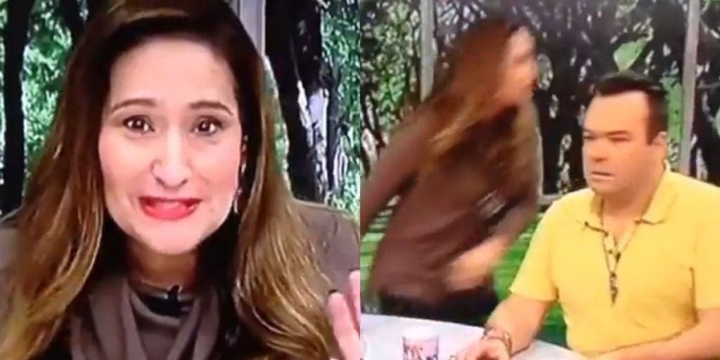 Dia em que Sonia Abrão parou seu programa por ouvir choro dá o que falar até hoje: “O que está acontecendo?”