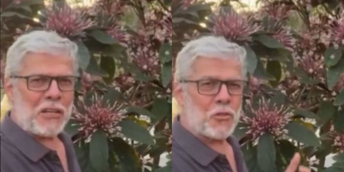 Ex-Globo, José Mayer, muda de vida e se torna homem do campo após doença - Foto Reprodução Instagram