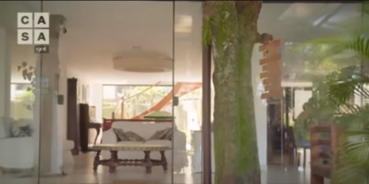 Manoel Soares mora em mansão no meio de ilha e árvore chama a atenção (Reprodução) Manoel Soares mora em mansão no meio de ilha e árvore chama a atenção (Reprodução)