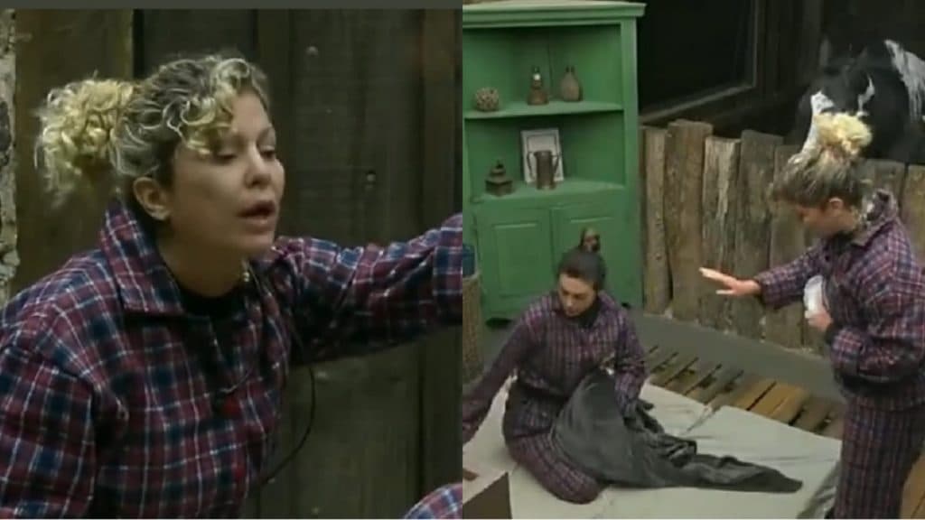 A Fazenda 14 - Após Prova de Fogo, Bárbara e Pétala discutem na baia: "A gente chegou primeiro"