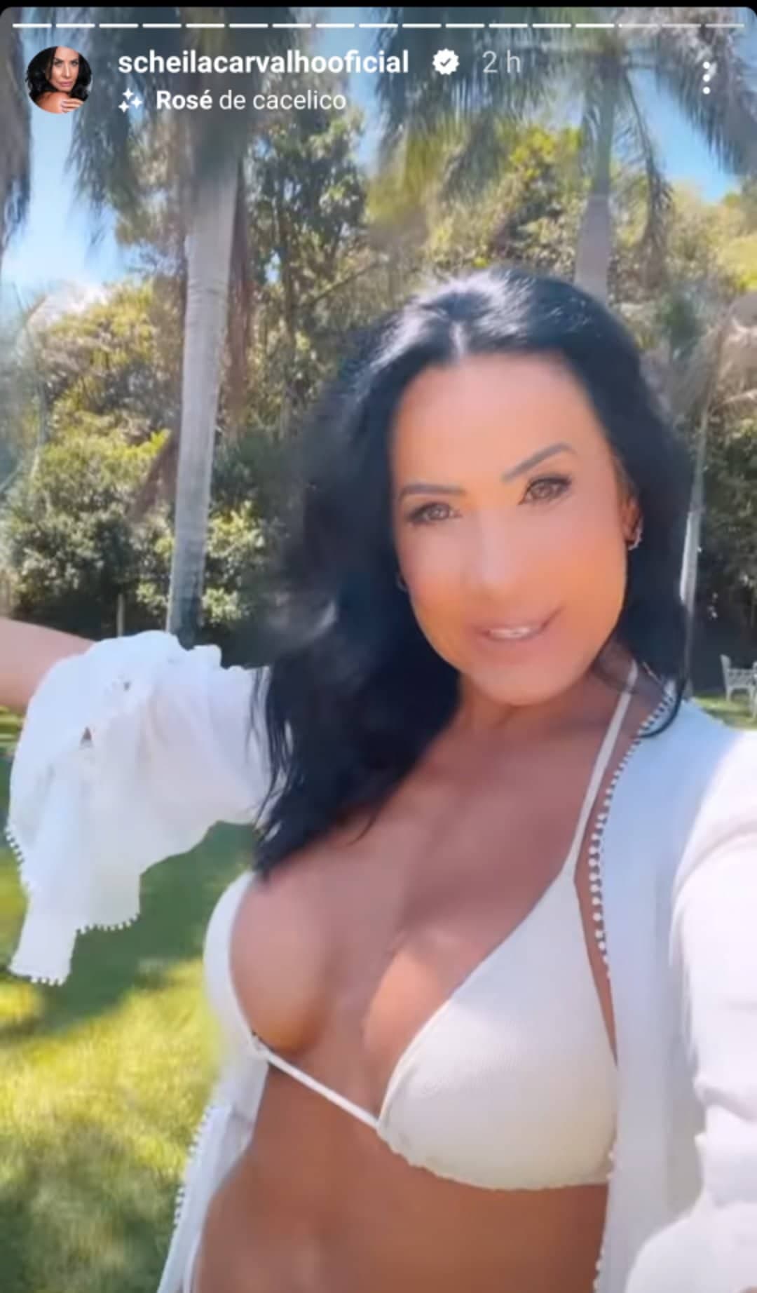 Scheila Carvalho, exibiu suas curvas muito saradas em cliques de biquíni e impressionou com seu corpão - Foto Reprodução Instagram