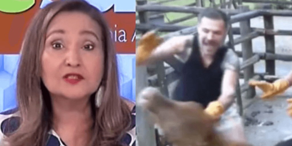 Sonia Abrão pede intervenção em A Fazenda 14, escancara crimes e expõe maus-tratos a animal: "Cruel''