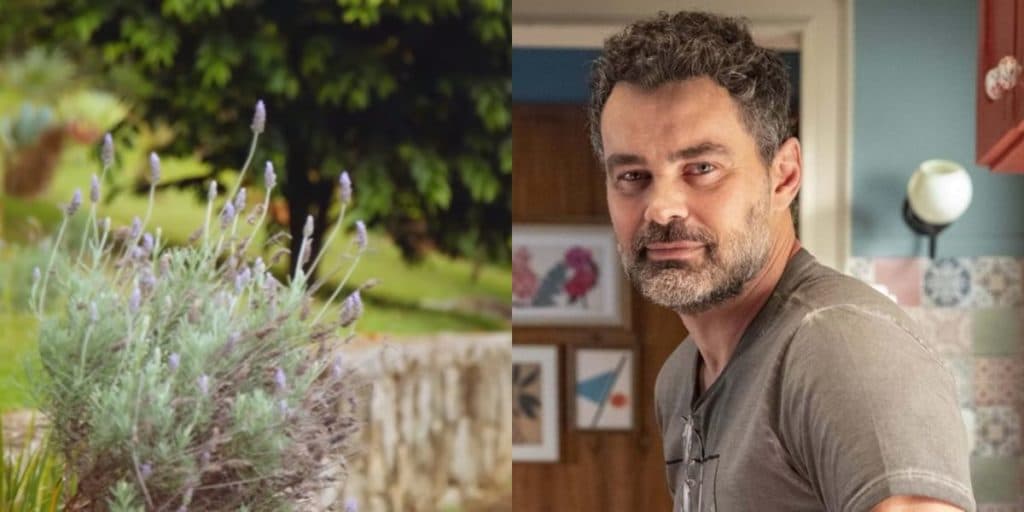 Carmo Dalla Vecchia, galã da Globo, mostra quintal enorme de casa onde cria memórias com o marido