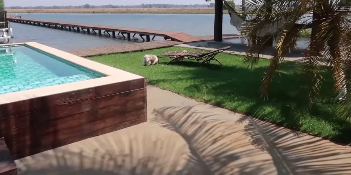 Piscina, grande área externa da residência (Reprodução: Youtube)