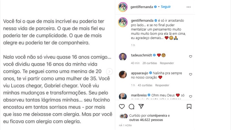 Imagem do post Imagem do post
