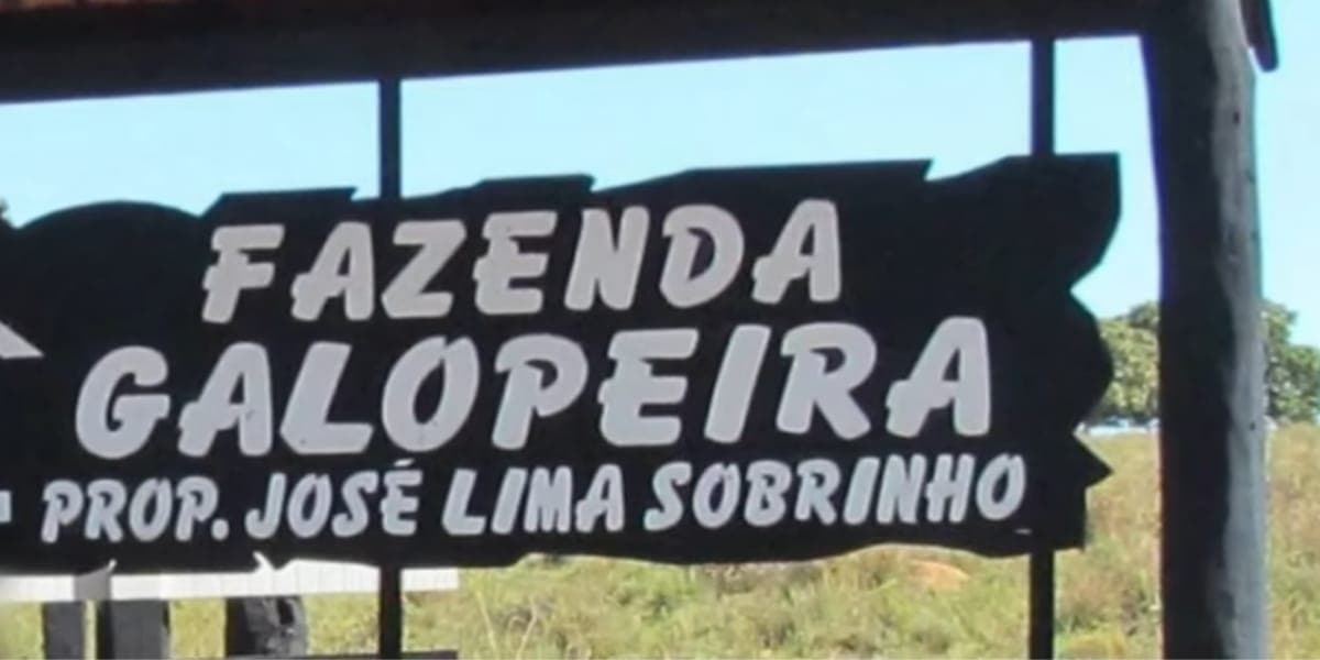 Imagem do post Imagem do post