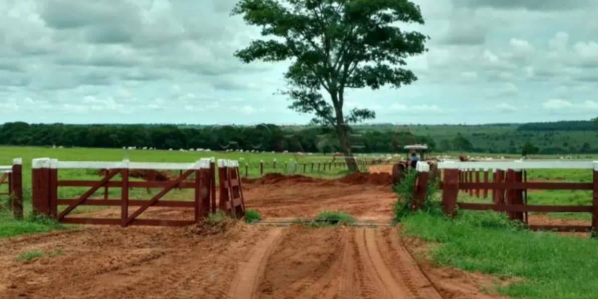 Fazenda Marrone (Reprodução: Youtube)