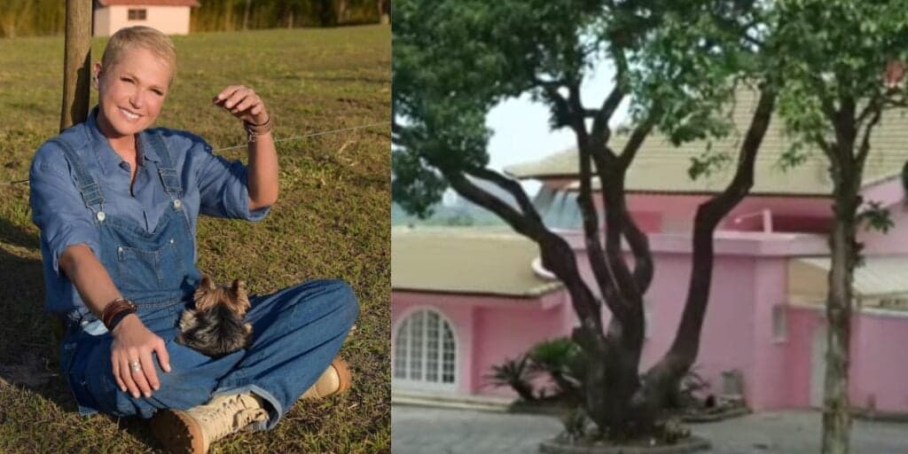 Fachada gigante, praça e casarão antigo: fotos mostram que imóvel que Xuxa fez Sasha segue absurdo