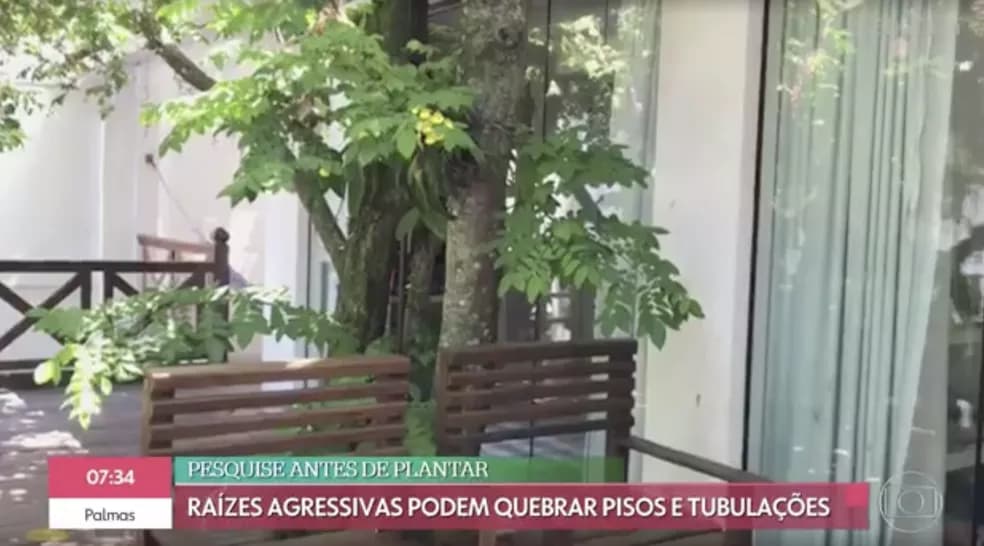 Casa da atriz Dira Paes (Imagem: Reprodução)