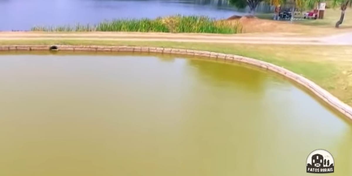 Fazenda Chitãozinho (Reprodução: Youtube)